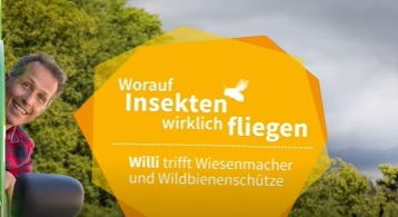 Willi will's wissen